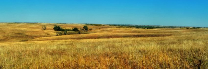 Nebraska Trivia Header showing wheat fields
