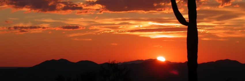 arizona trivia header with cactus and sunset