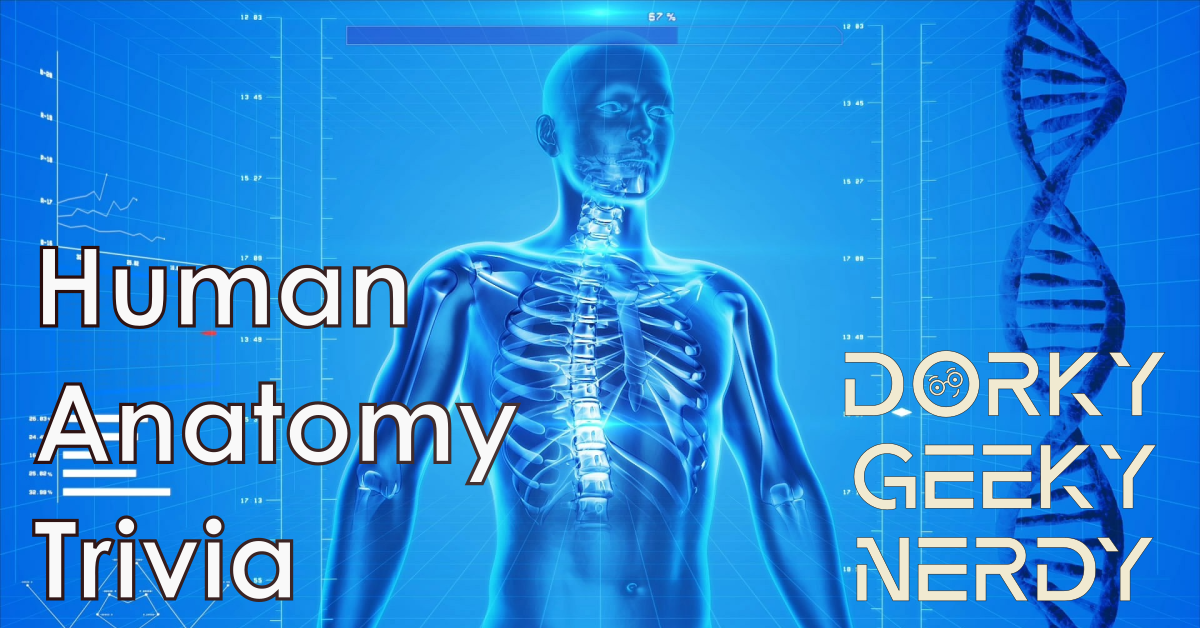 Do You Know Basic Human Anatomy Trivia Quizzes Fun Fa vrogue.co